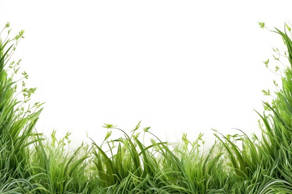 Grass frame border backgrounds landscape outdoors. AI generated Image by rawpixel.