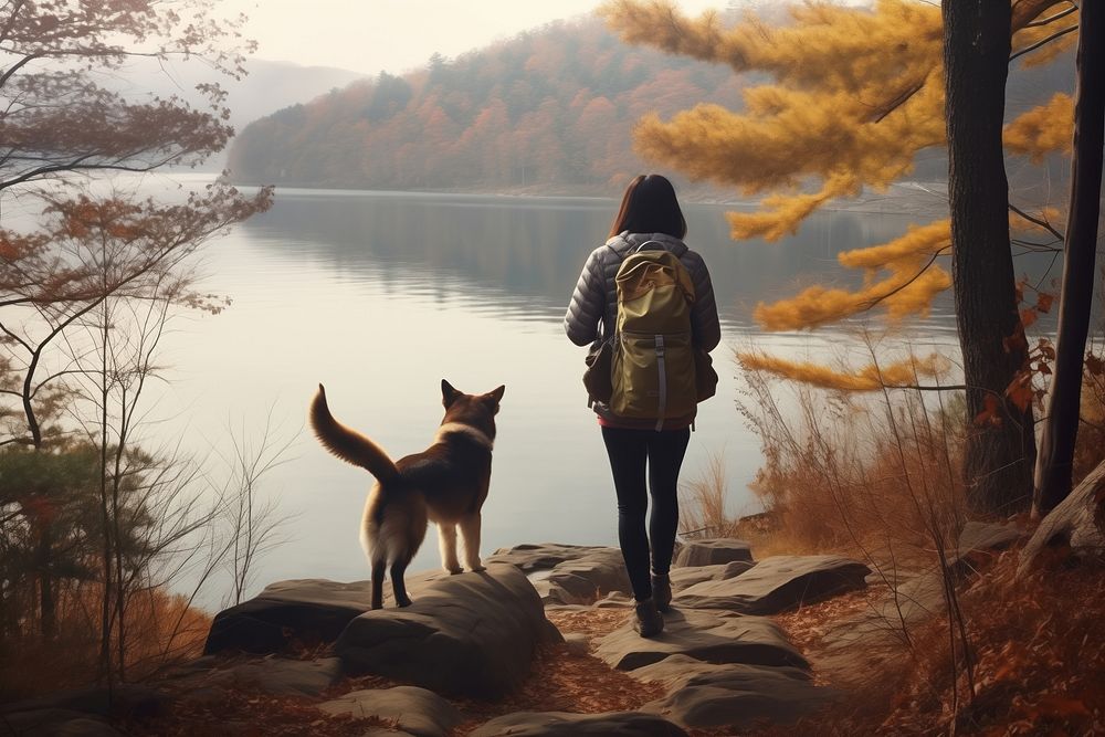 Korean hiking pet dog. AI generated Image by rawpixel.