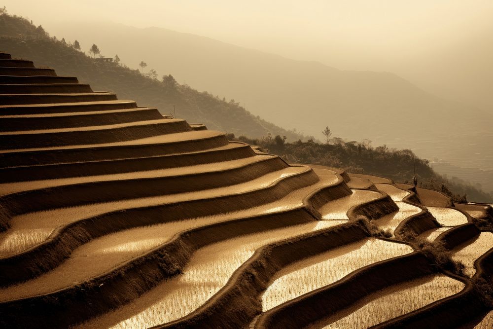 Rice terrace landscape outdoors nature. AI generated Image by rawpixel.