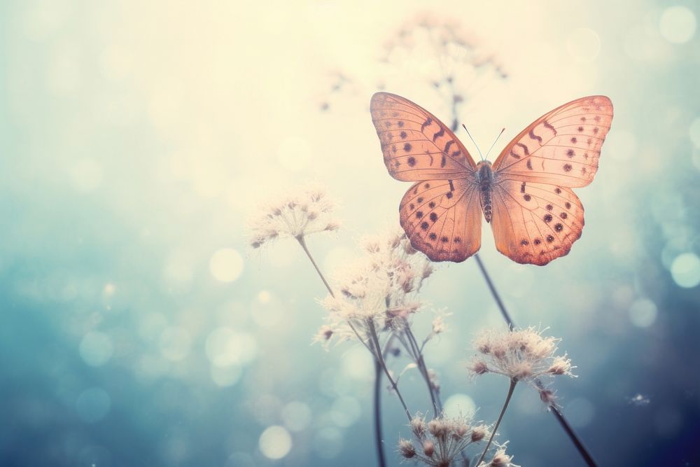 Butterfly in spring outdoors nature flower. AI generated Image by rawpixel.