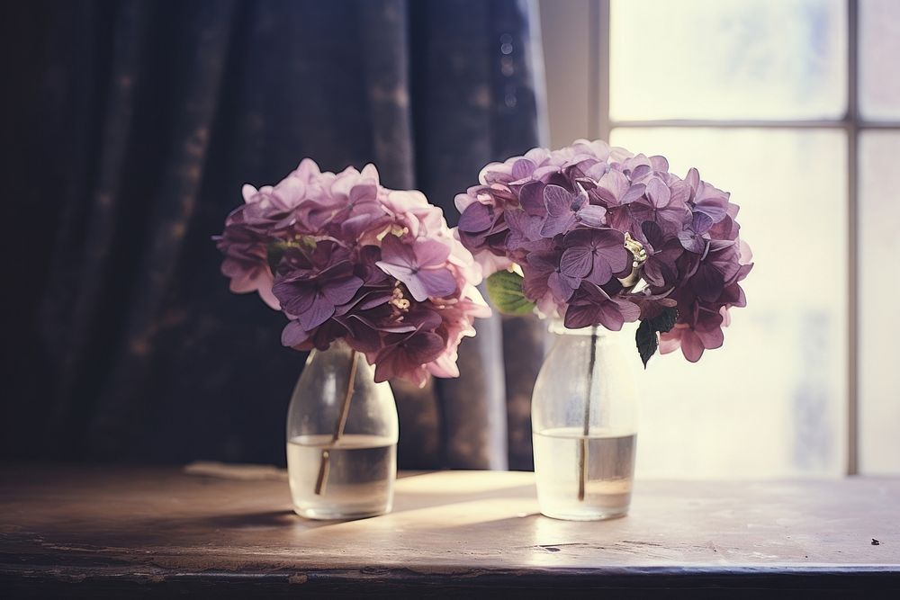 Purple hydrangea flowers sitting at a table in a living room window plant inflorescence. AI generated Image by rawpixel.