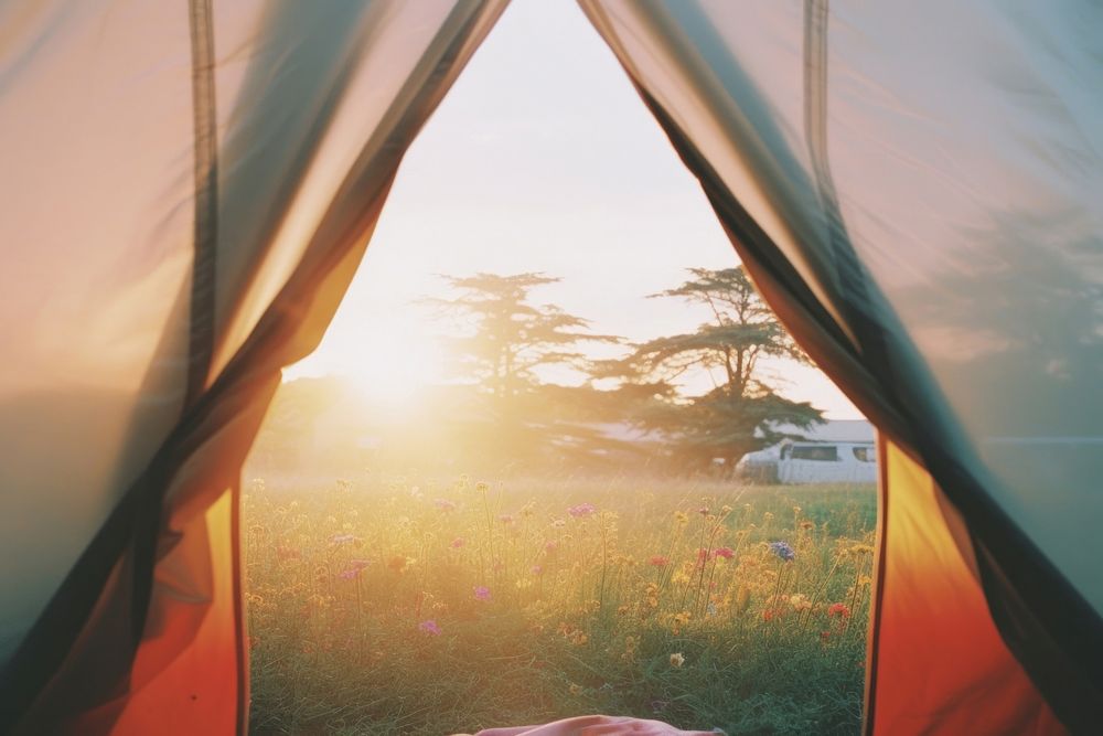 The inside of a tent with a view of the meadow sunlight outdoors camping. AI generated Image by rawpixel.
