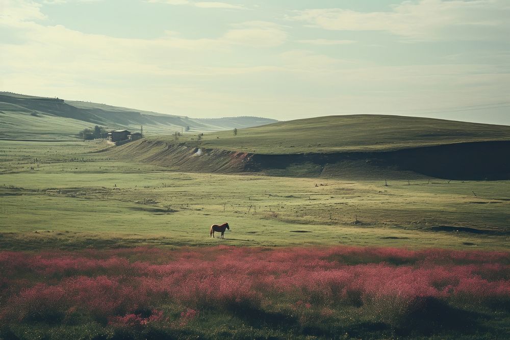 Meadow with horse farm in the background landscape grassland outdoors. AI generated Image by rawpixel.