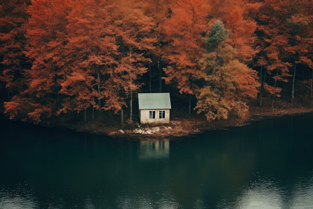 A littel house in woodland with lake landscape outdoors nature. AI generated Image by rawpixel.