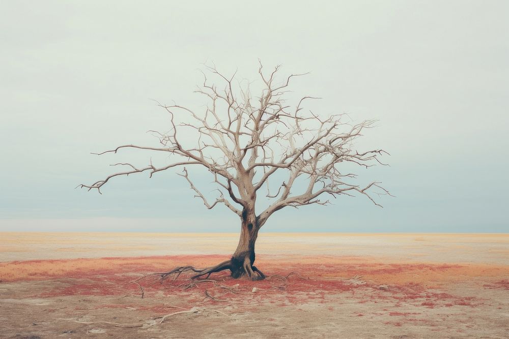 Alone dry tree in the raining landscape plant tranquility. AI generated Image by rawpixel.