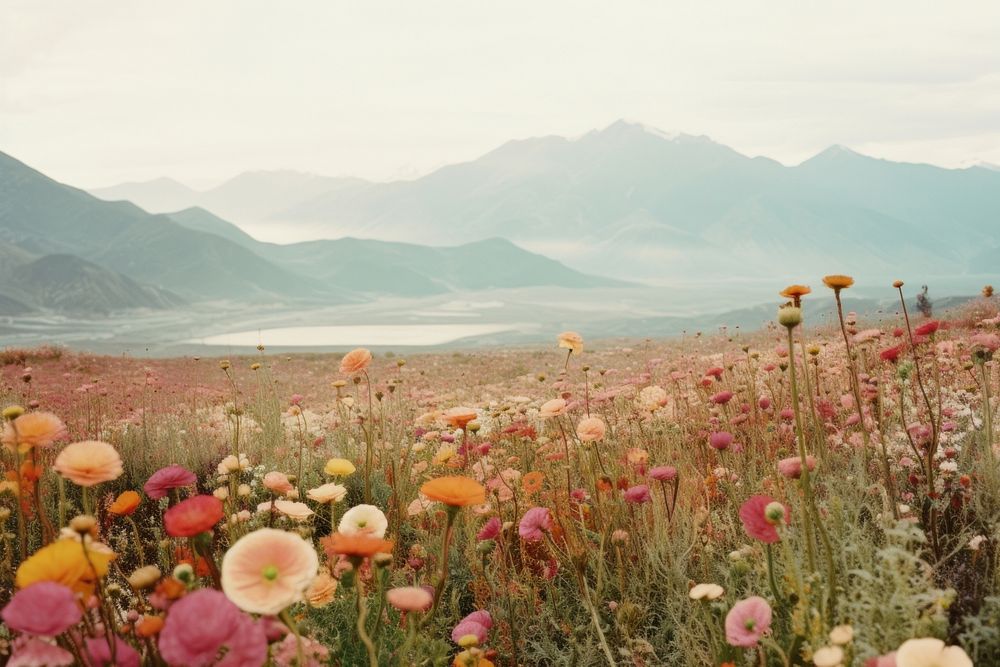 Field of flowers landscape grassland mountain. AI generated Image by rawpixel.