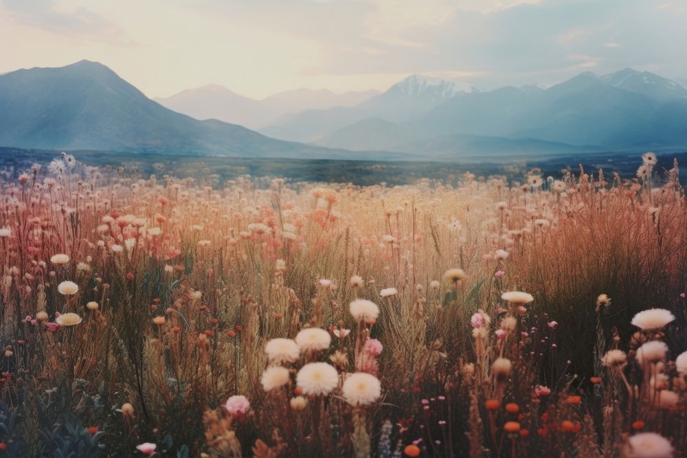Flowers meadow with mountains in the background landscape grassland outdoors. AI generated Image by rawpixel.