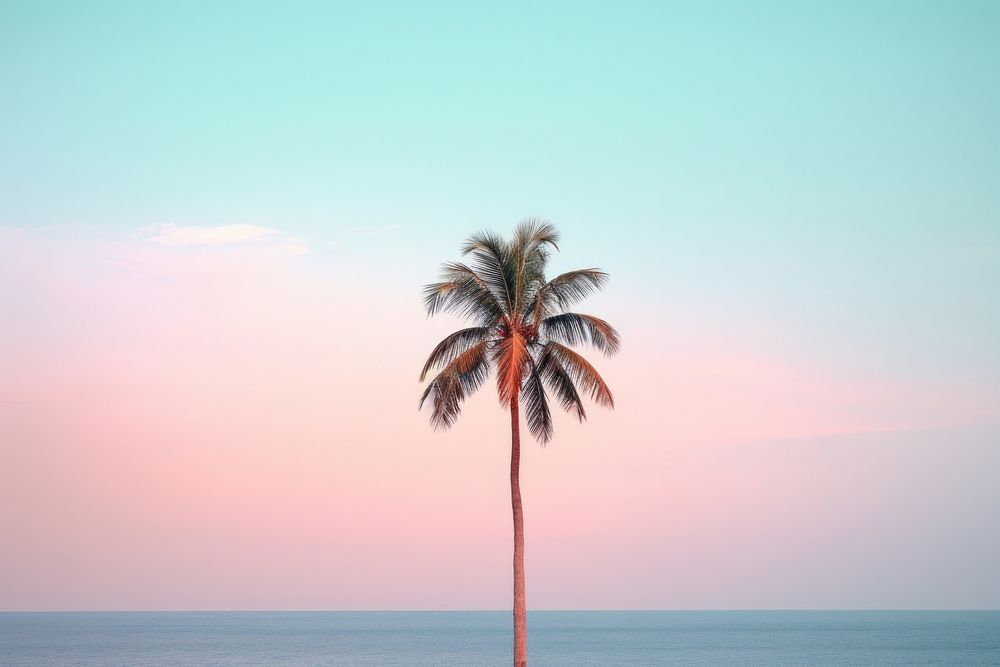 Silhouette shape of coconut tree with pale beach outdoors horizon nature. AI generated Image by rawpixel.