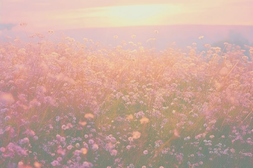 Meadow backgrounds landscape outdoors. AI generated Image by rawpixel.