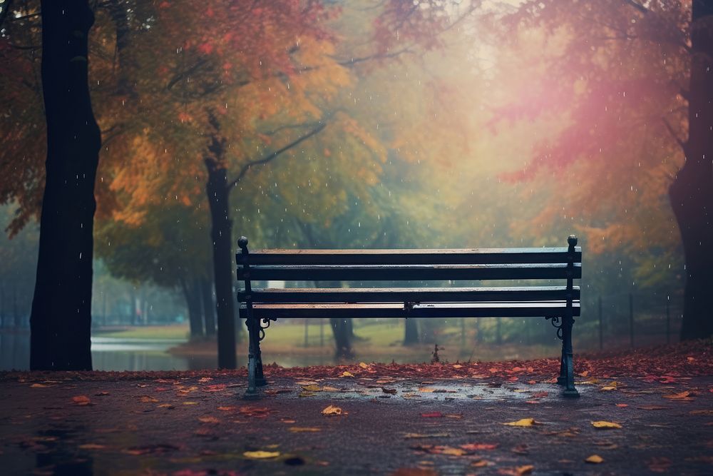 A benches sitting in the middle of a autumn park architecture tranquility furniture. AI generated Image by rawpixel.