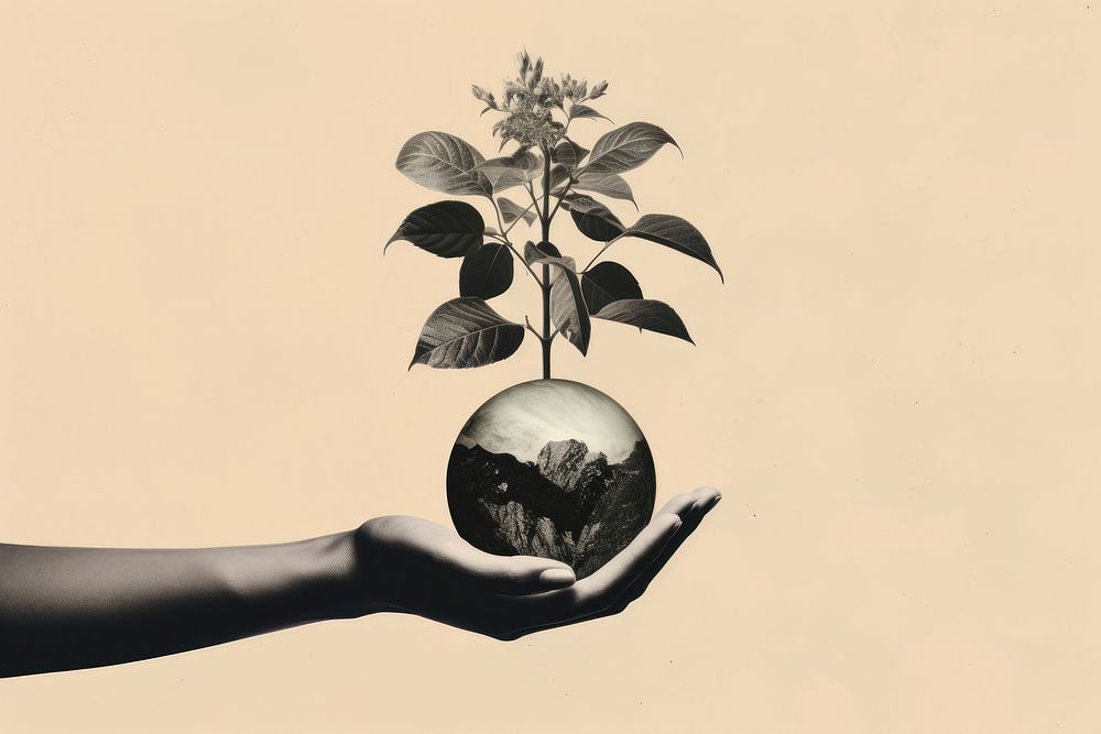 A hand holding the earth with a plant growing out of it leaf photography monochrome. AI generated Image by rawpixel.