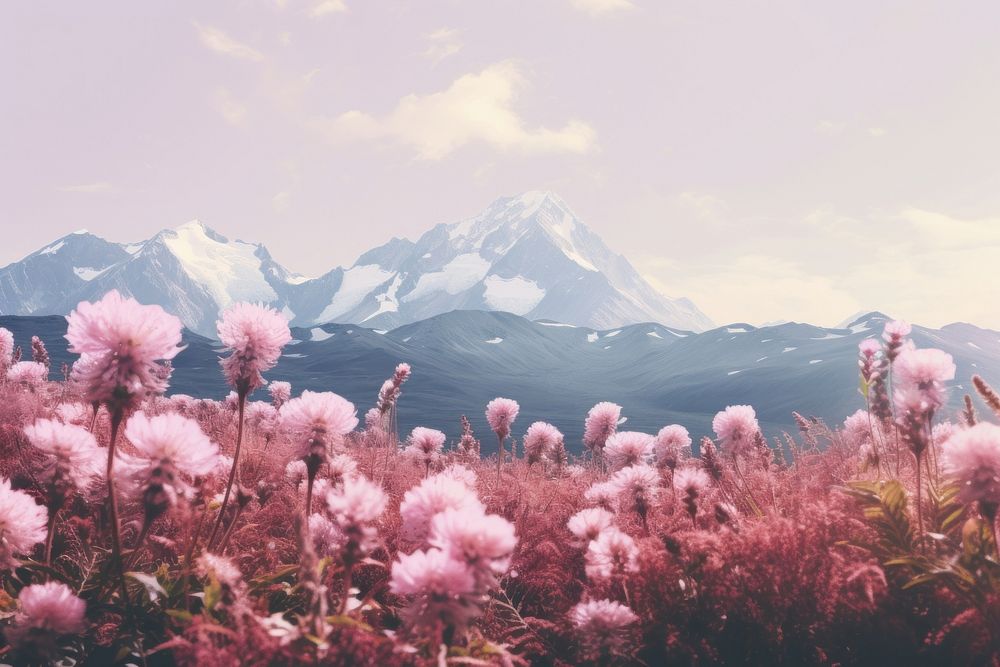 Mountain and flowers landscape outdoors blossom. AI generated Image by rawpixel.