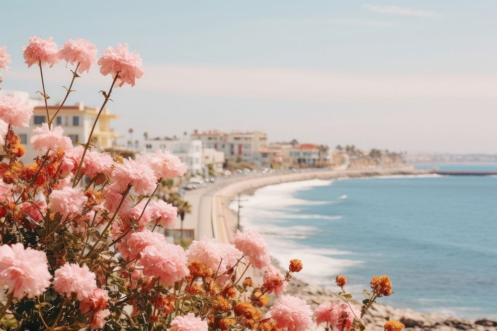 Coastal city and flowers architecture outdoors horizon. AI generated Image by rawpixel.