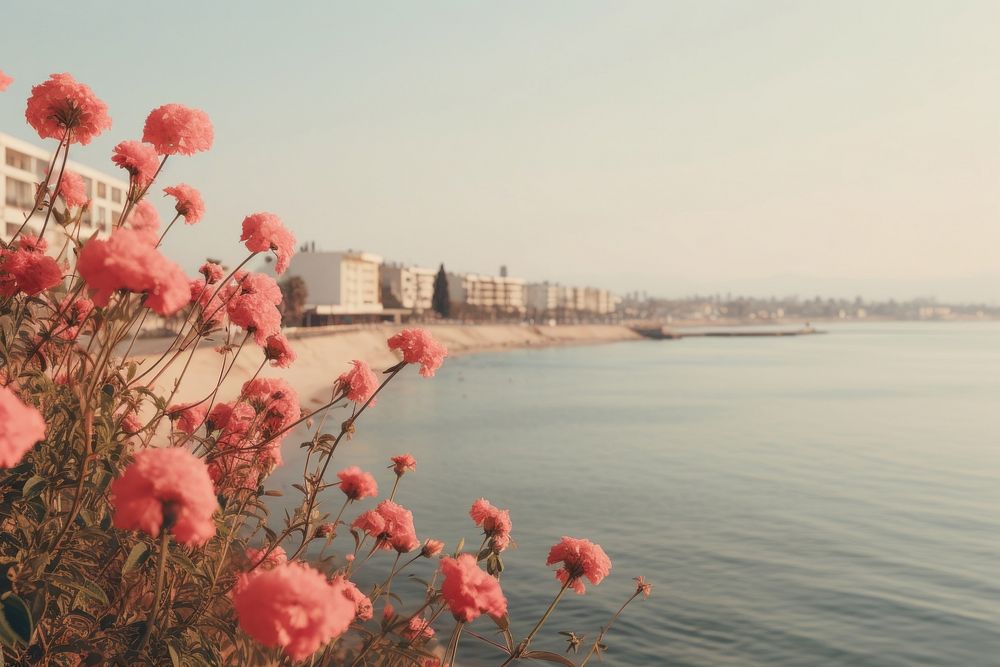Coastal city and flowers architecture outdoors nature. AI generated Image by rawpixel.