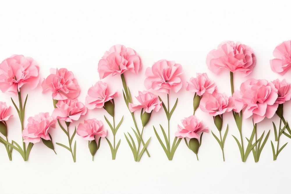 Carnation flower blossom plant. AI generated Image by rawpixel.