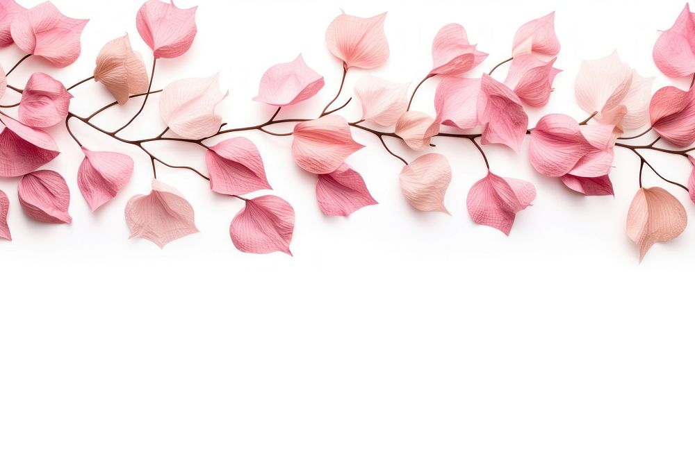 Dry flower backgrounds petal plant. AI generated Image by rawpixel.