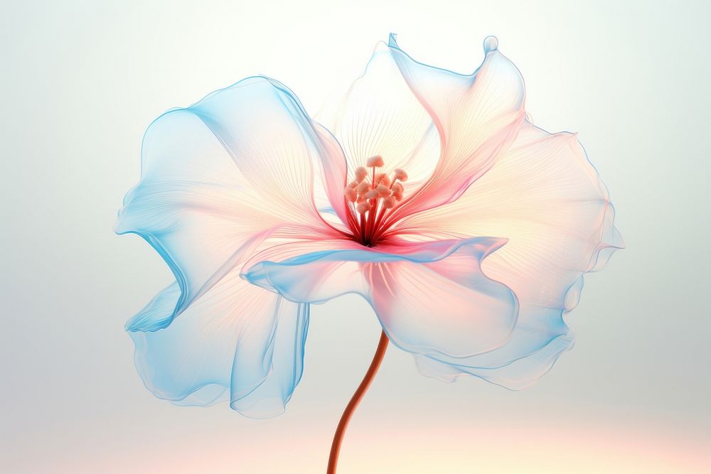 Poppy flower petal plant. AI generated Image by rawpixel.