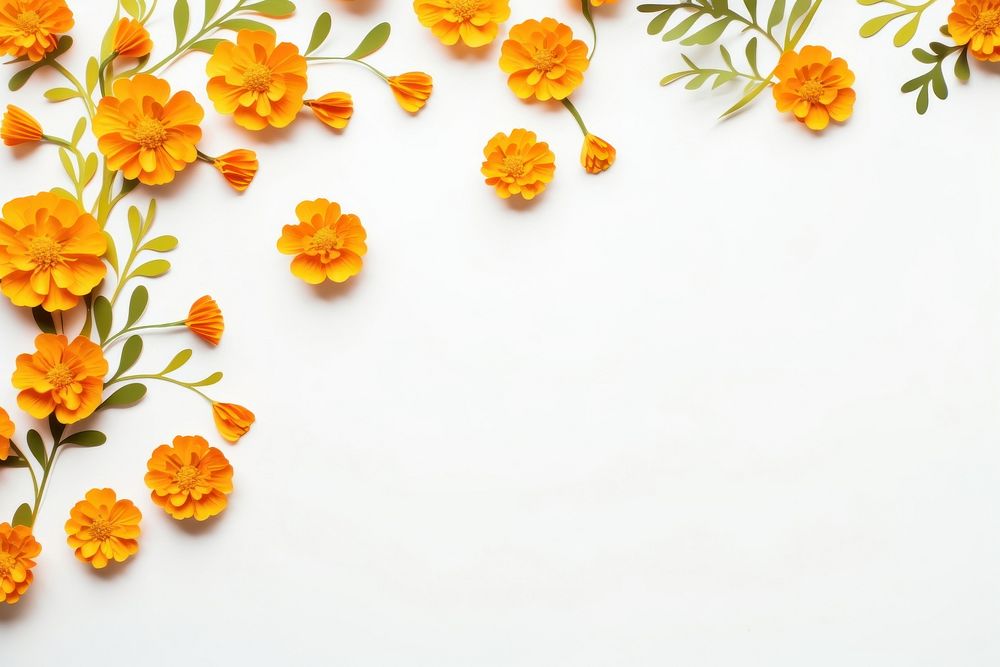 Marigold flower backgrounds plant. AI generated Image by rawpixel.
