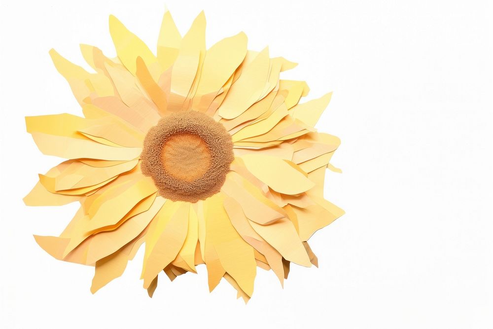 Sunflower petal plant white background. AI generated Image by rawpixel.