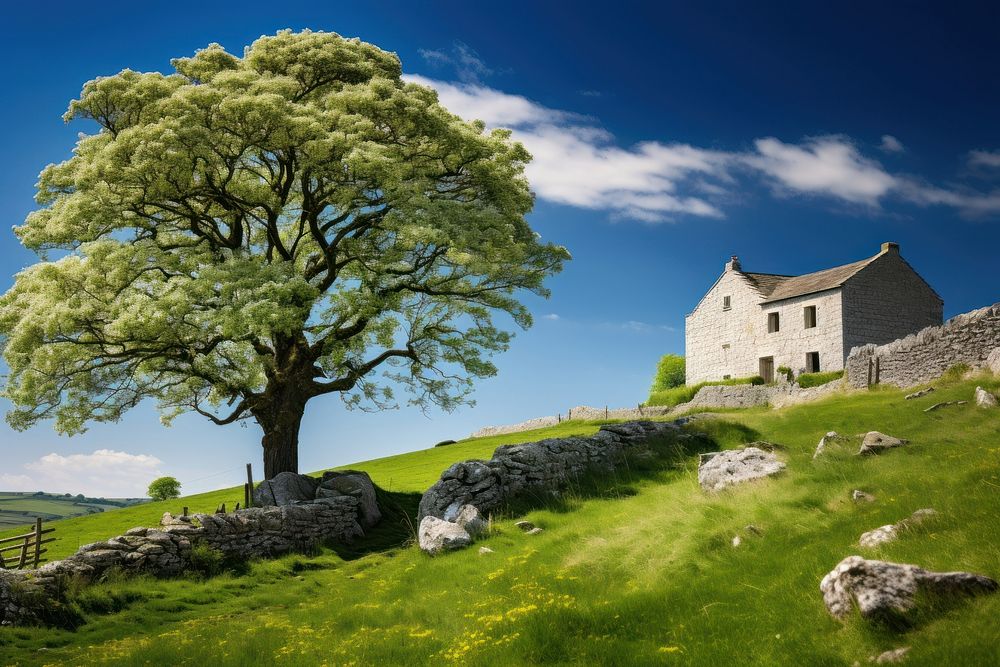 Small white english farmhouse tree architecture landscape. AI generated Image by rawpixel.