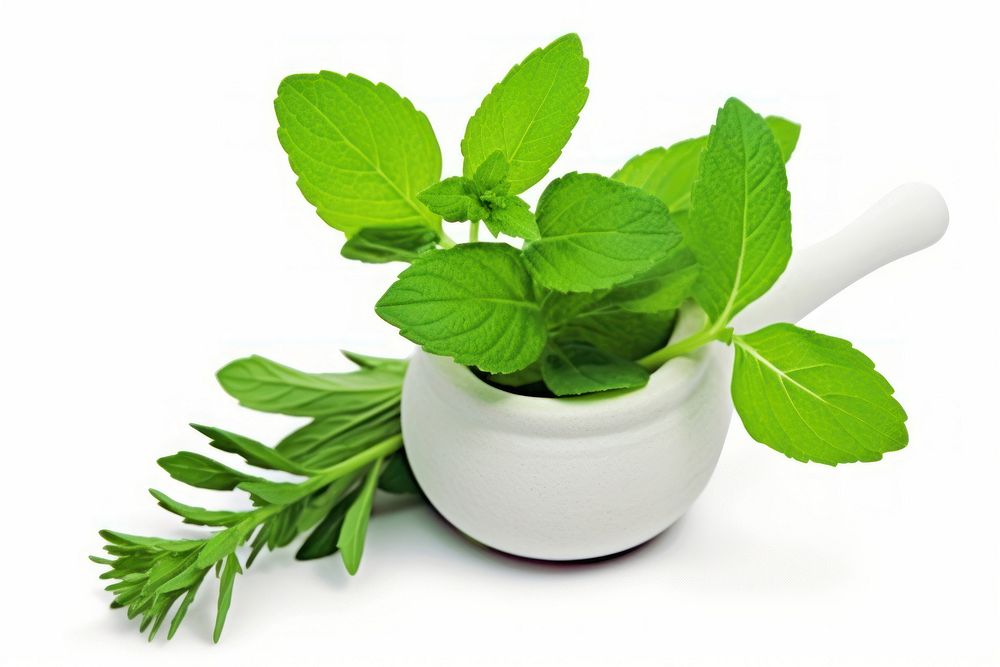 Medicine Herb herbs medicine plant. AI generated Image by rawpixel.