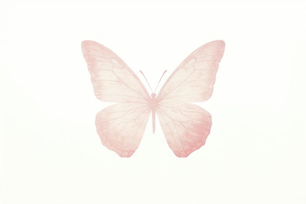 Butterfly petal white background fragility. AI generated Image by rawpixel.