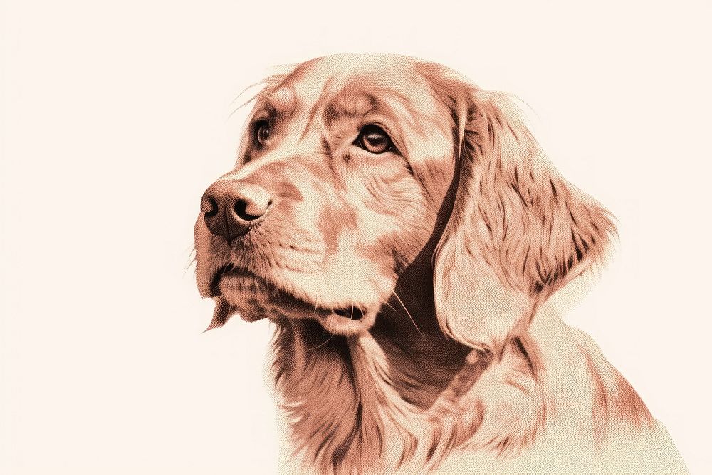 Dog drawing animal mammal. AI generated Image by rawpixel.