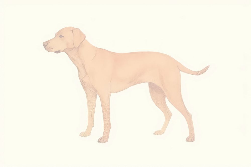 Riso illustration of a dog animal mammal pet. AI generated Image by rawpixel.