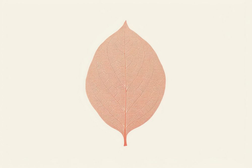 Leaf plant petal textured. AI generated Image by rawpixel.