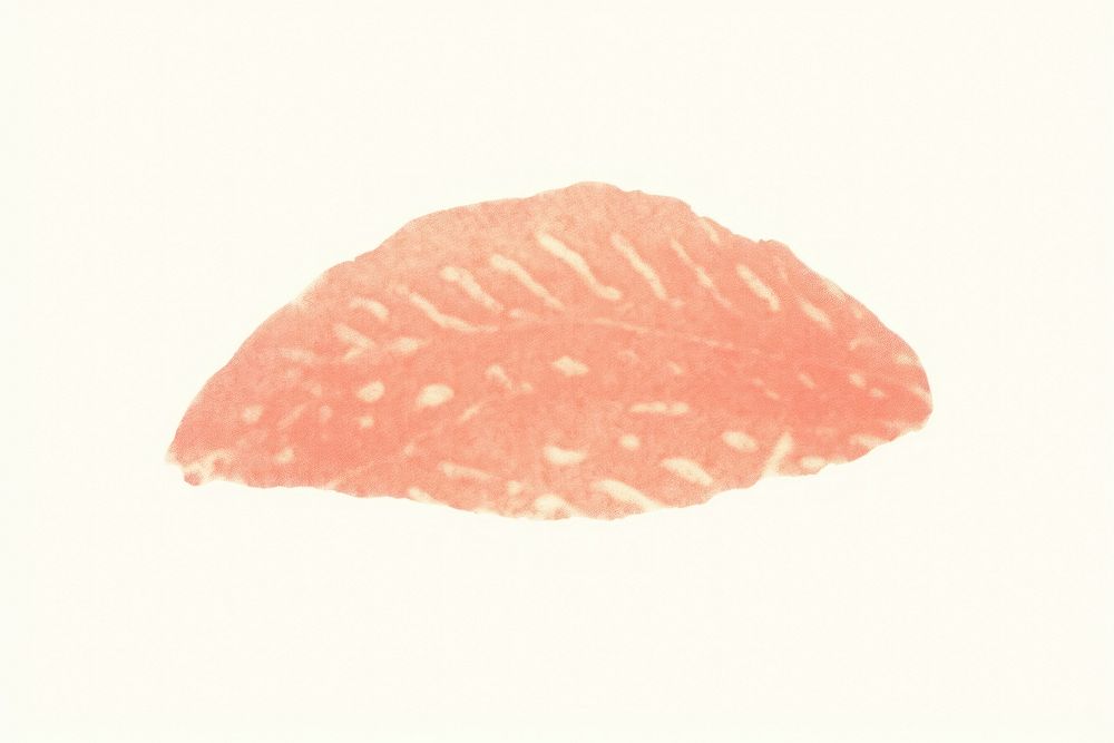 Sushi white background freshness weaponry. AI generated Image by rawpixel.