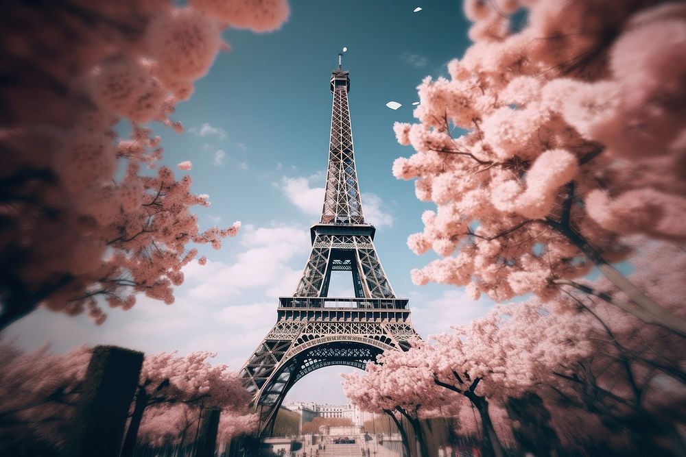 An eiffel architecture building blossom. 