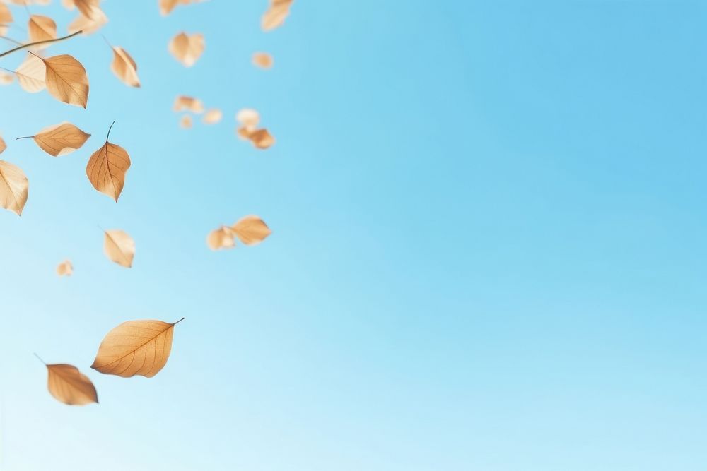 Leaves floating in the air outdoors nature autumn. AI generated Image by rawpixel.