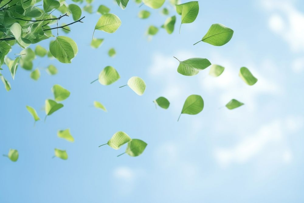 Leaves floating in the air outdoors nature plant. AI generated Image by rawpixel.