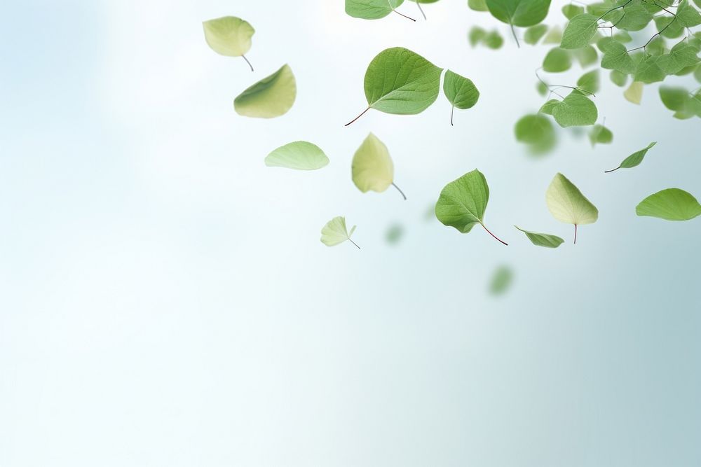 Leaves floating in the air plant green leaf. AI generated Image by rawpixel.