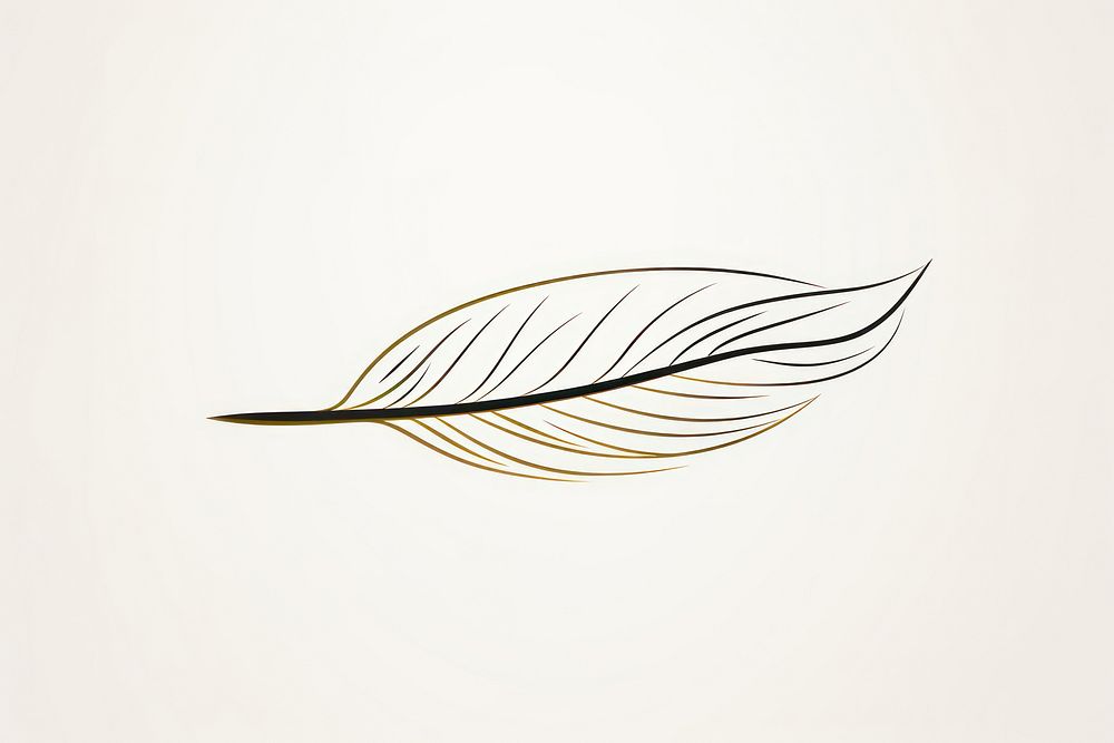 Feather logo pattern line. AI generated Image by rawpixel.