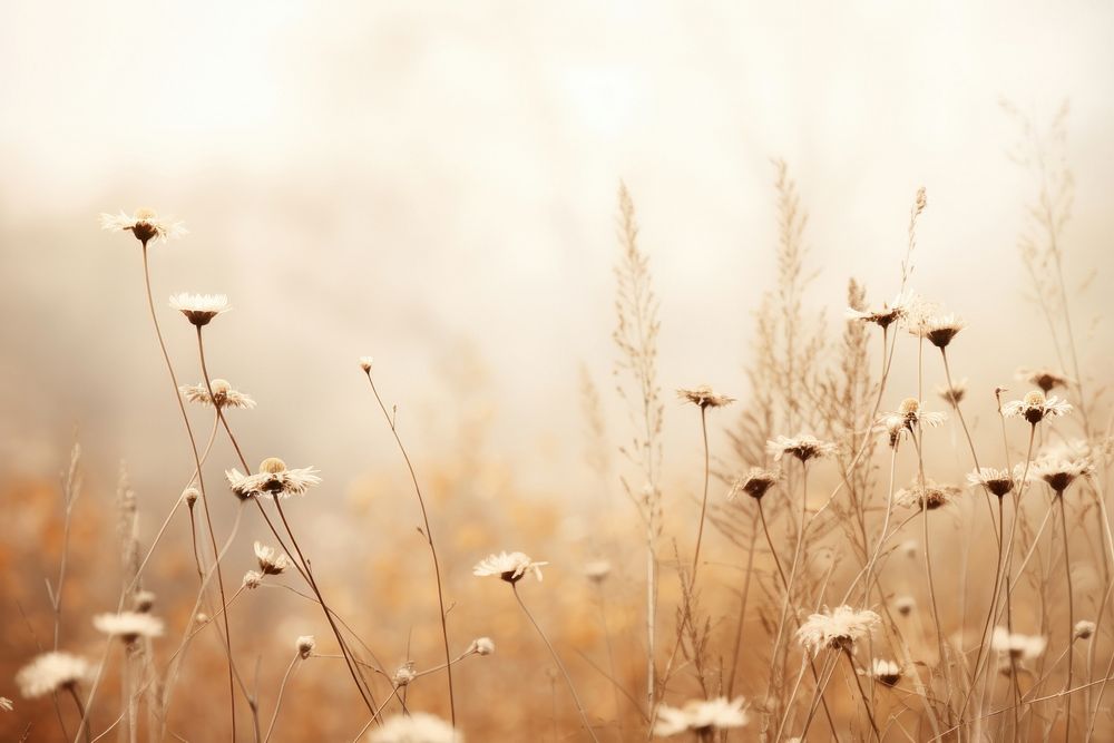 Autumn meadow outdoors nature flower. AI generated Image by rawpixel.