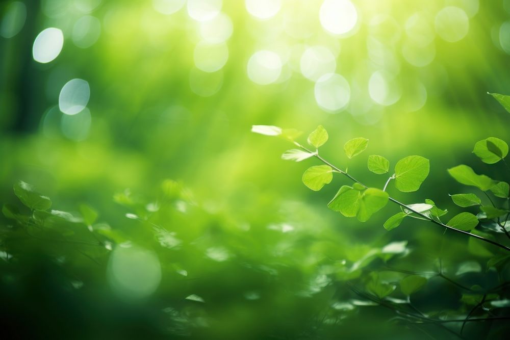 Green bokeh light sunlight outdoors. AI generated Image by rawpixel.