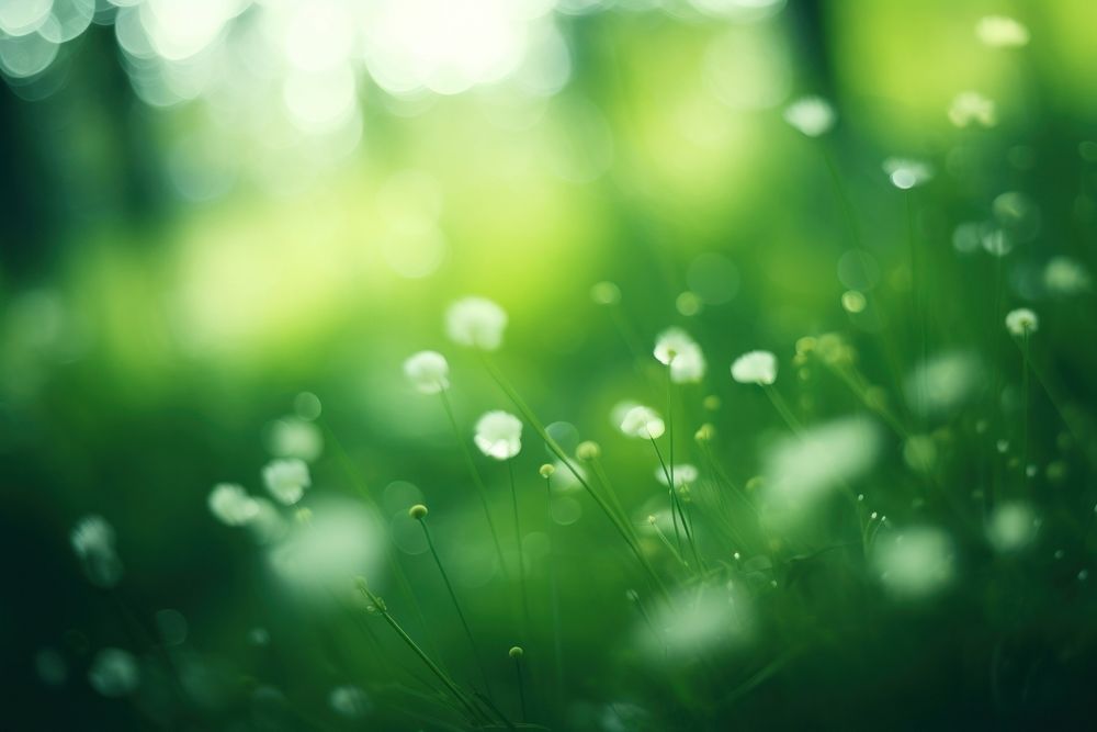 Green bokeh sunlight outdoors nature. AI generated Image by rawpixel.