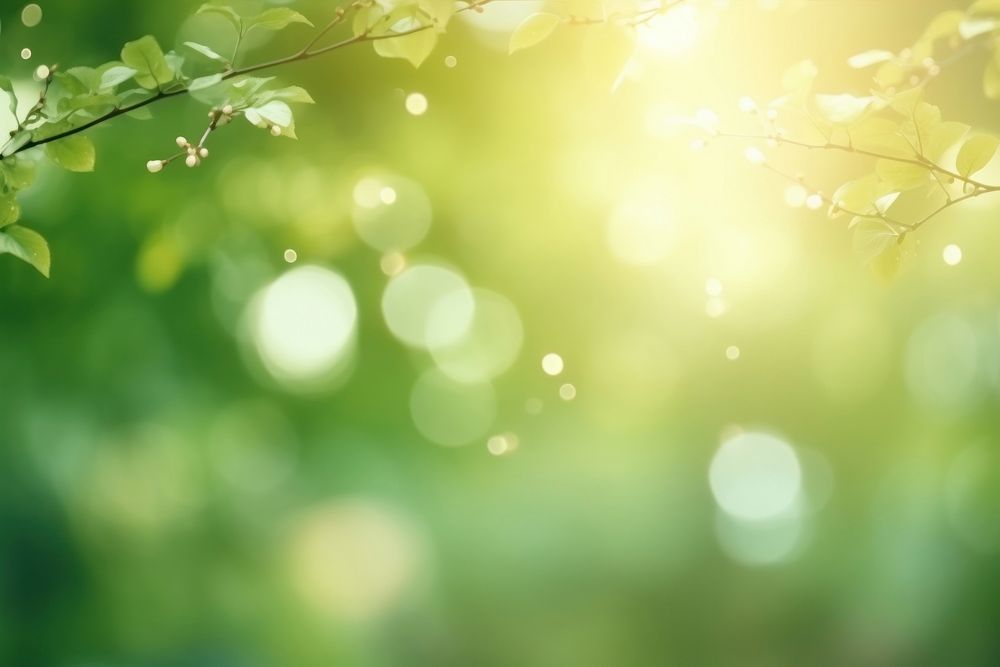 Green natural bokeh backgrounds sunlight outdoors. AI generated Image by rawpixel.