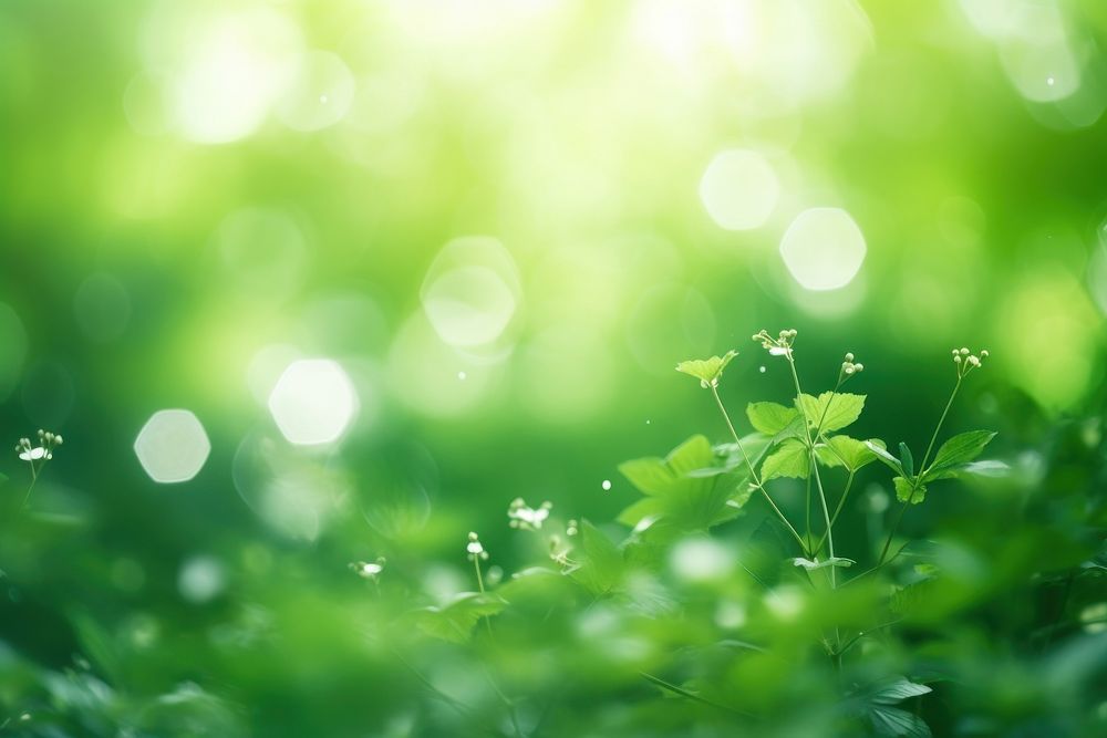Green natural bokeh backgrounds sunlight outdoors. AI generated Image by rawpixel.