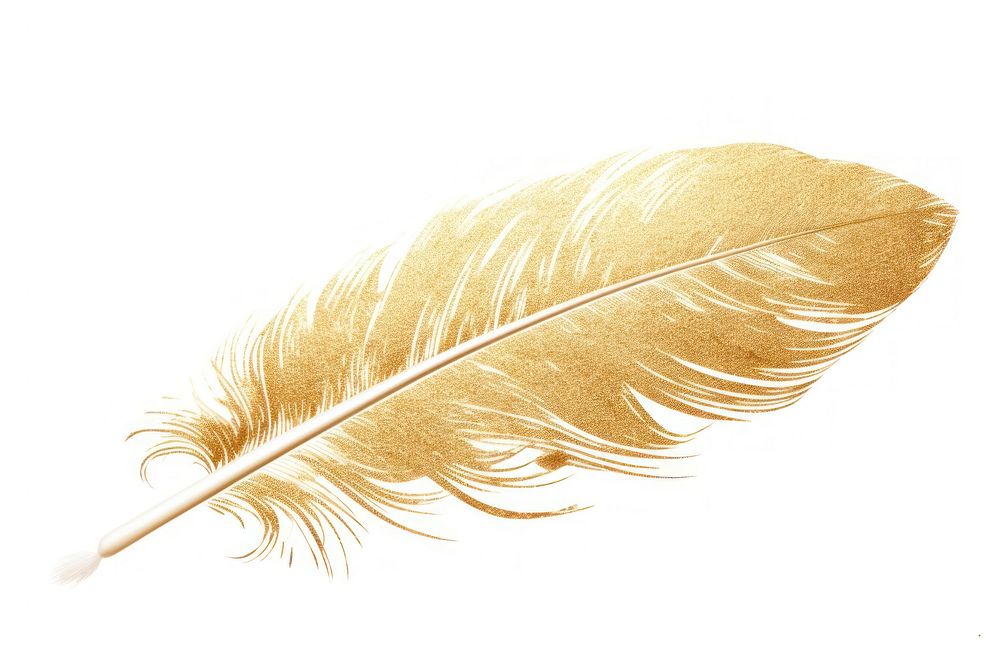 Feather pen white background lightweight accessories. AI generated Image by rawpixel.