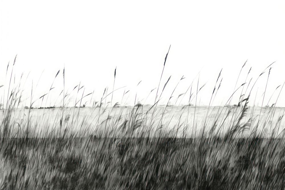 Grass field plant tranquility monochrome. AI generated Image by rawpixel.