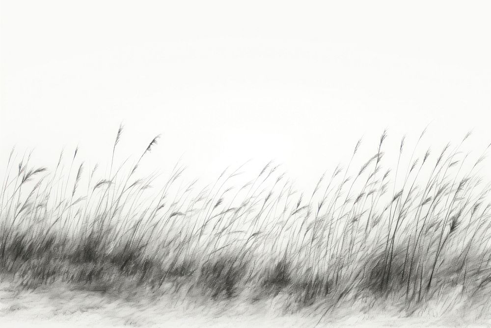 Grass field backgrounds plant tranquility. AI generated Image by rawpixel.