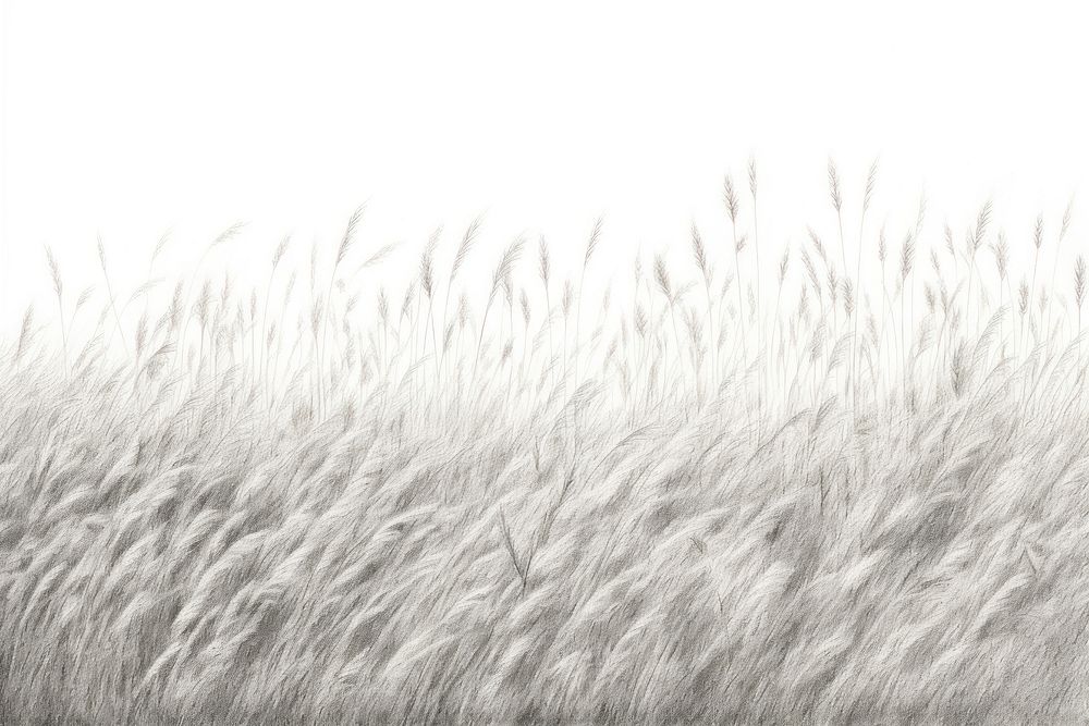 Grass field backgrounds plant white. AI generated Image by rawpixel.