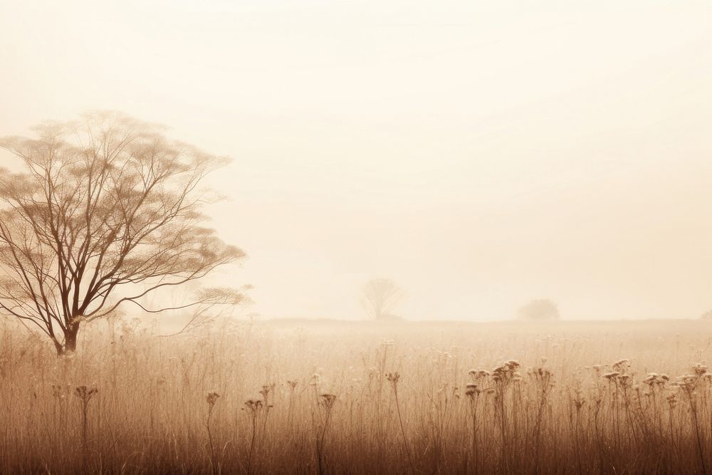 Field in spring landscape grassland outdoors. AI generated Image by rawpixel.