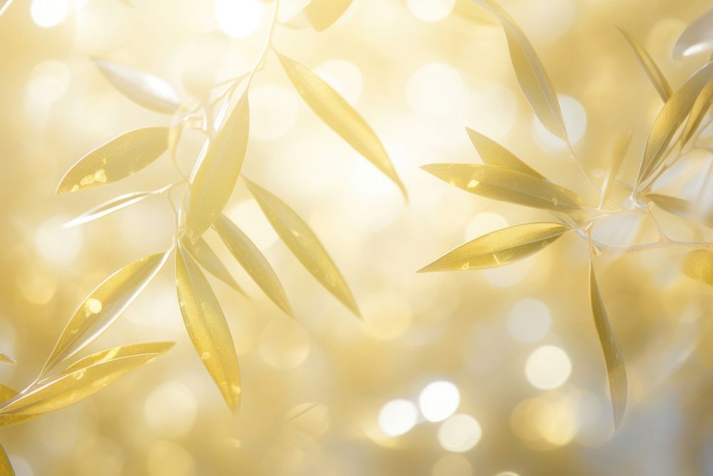 Olive leaves pattern bokeh effect background backgrounds sunlight gold. AI generated Image by rawpixel.