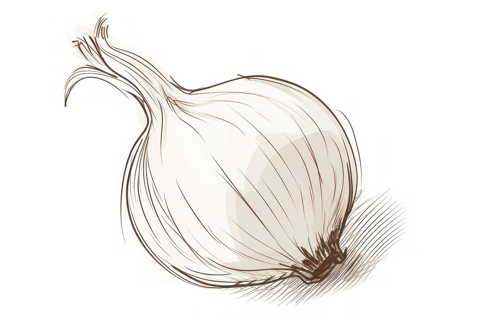 Onion vegetable drawing garlic. AI generated Image by rawpixel.