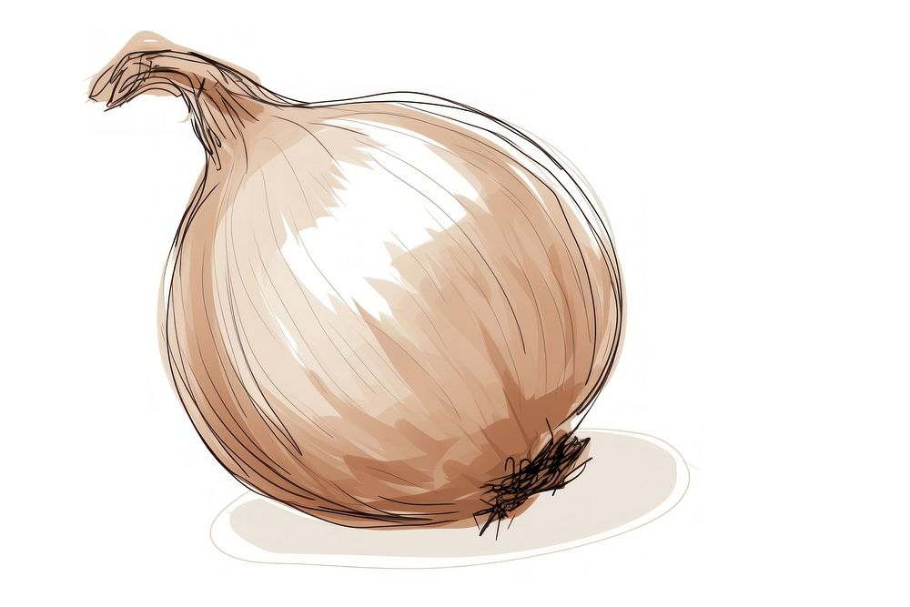 Onion shallot drawing sketch. AI generated Image by rawpixel.