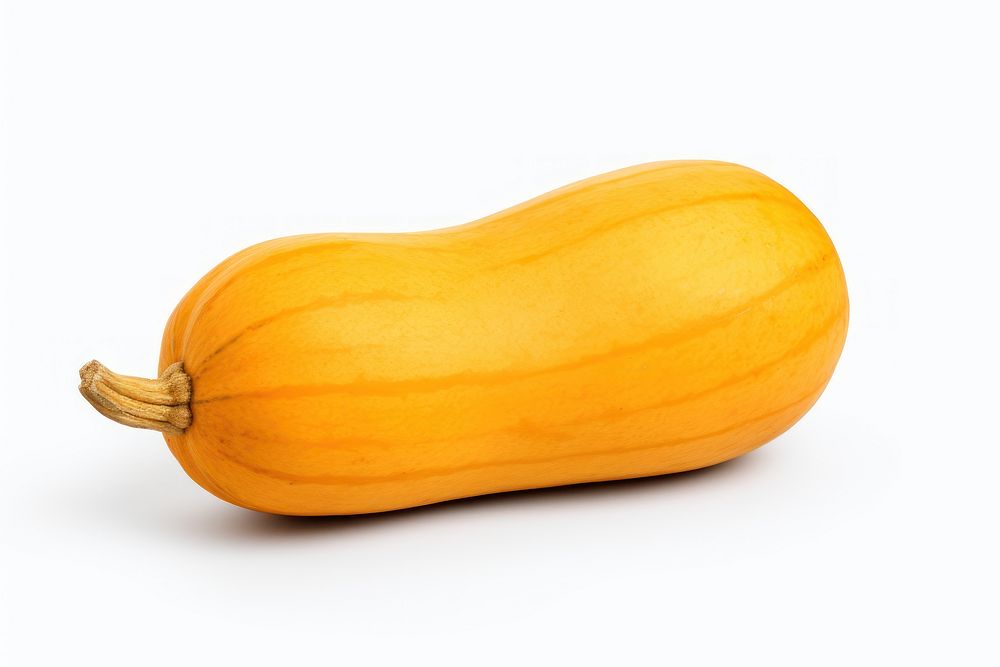 Spiced butternut squash vegetable pumpkin plant. AI generated Image by rawpixel.