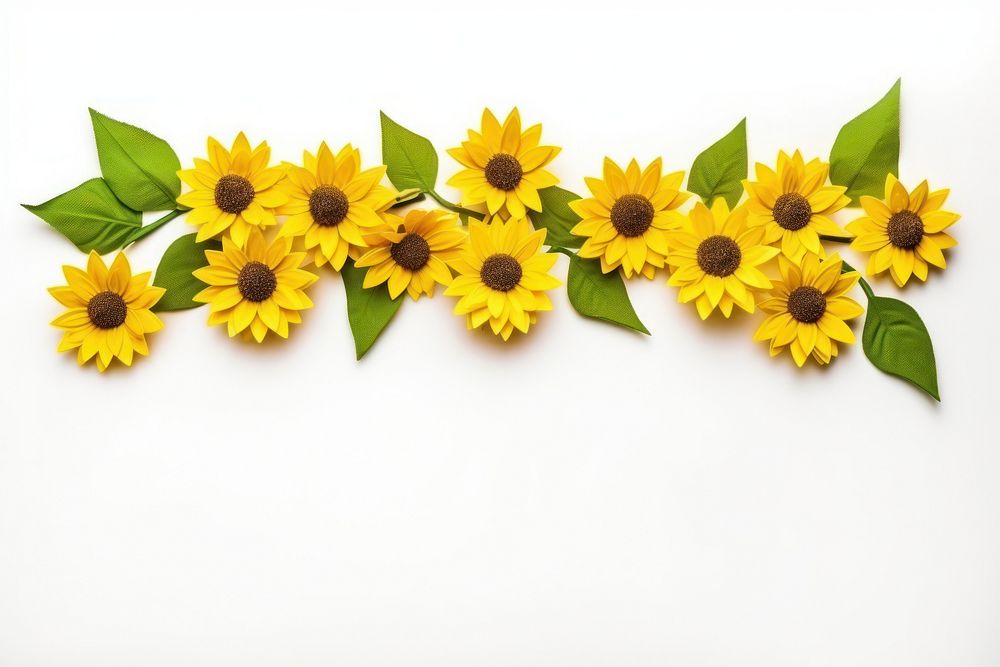 Sunflower plant petal daisy. AI generated Image by rawpixel.